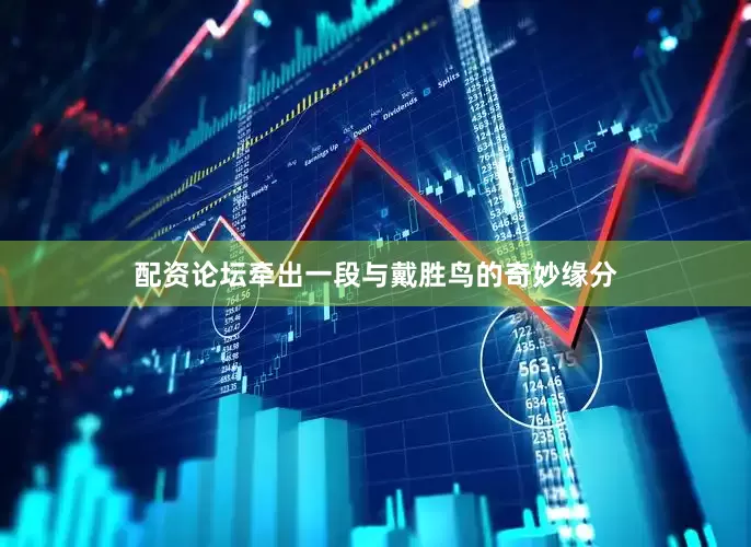 配资论坛牵出一段与戴胜鸟的奇妙缘分
