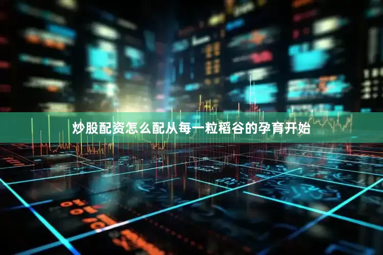 炒股配资怎么配从每一粒稻谷的孕育开始