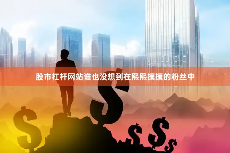 股市杠杆网站谁也没想到在熙熙攘攘的粉丝中