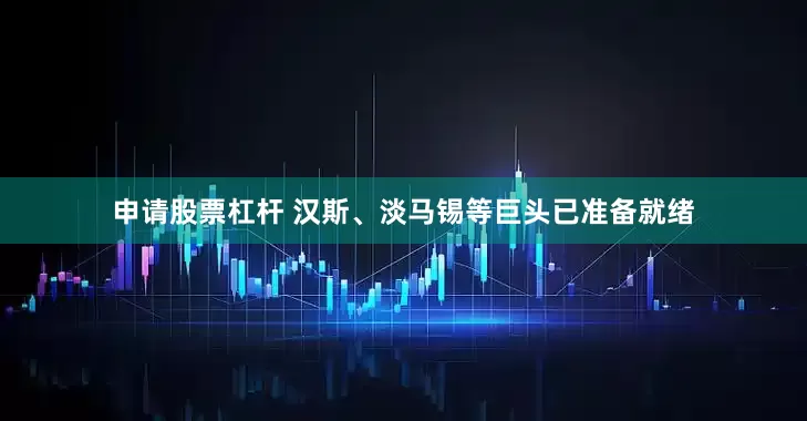 申请股票杠杆 汉斯、淡马锡等巨头已准备就绪