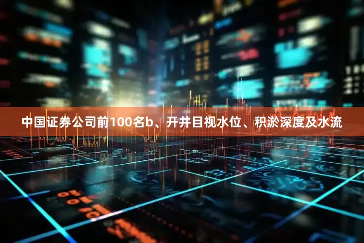 中国证券公司前100名b、开井目视水位、积淤深度及水流