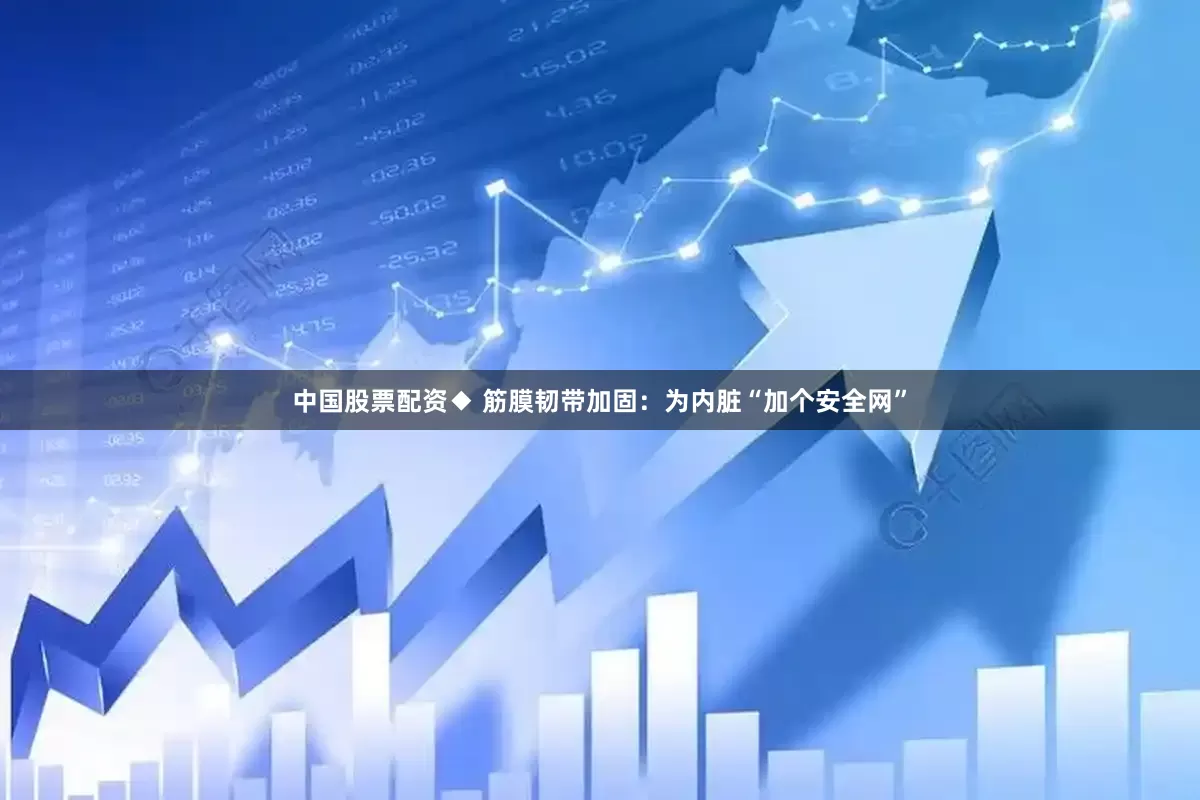 中国股票配资◆ 筋膜韧带加固：为内脏“加个安全网”