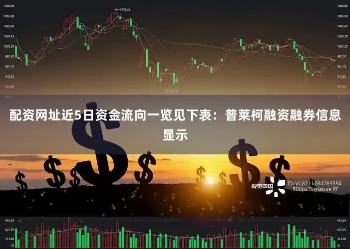 配资网址近5日资金流向一览见下表：普莱柯融资融券信息显示