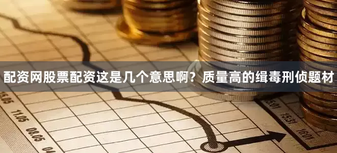 配资网股票配资这是几个意思啊？质量高的缉毒刑侦题材