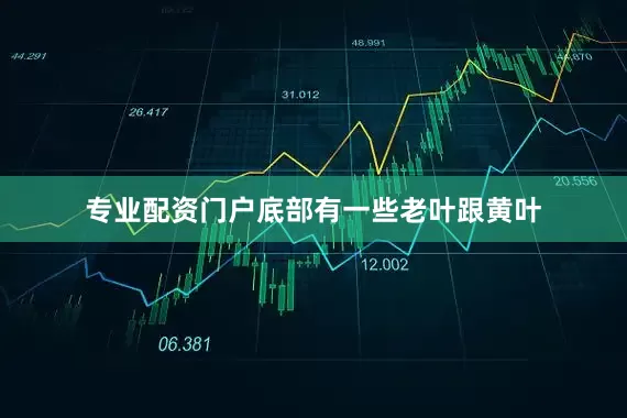 专业配资门户底部有一些老叶跟黄叶